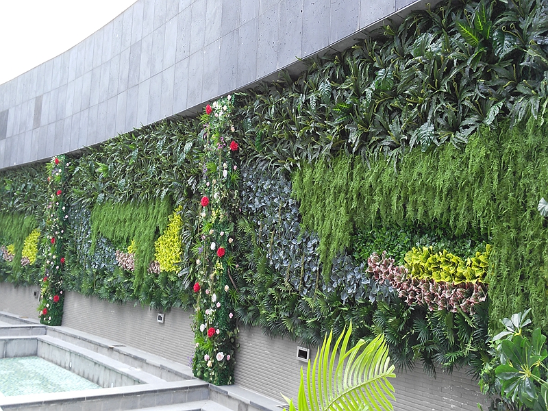 丹東溫泉洗浴植物墻_大型室外植物墻_抗氧化植物墻-綠飾界植物墻專家
